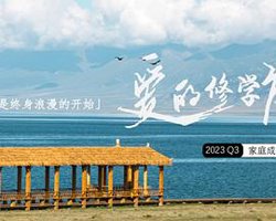爱的修学旅行高清播放