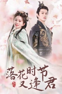 落花时节又逢君短剧高清播放