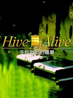 生机勃勃的蜂巢在线观看