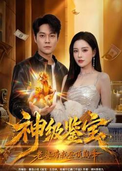 神级鉴宝，老婆带我登顶巅峰