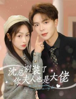 沈总别装了，你夫人也是大佬在线观看