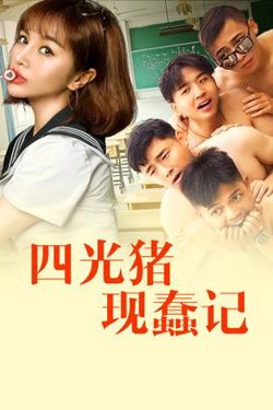 四光猪现蠢记高清播放