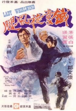 铁掌旋风腿在线观看