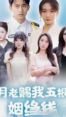 月老赐我五根姻缘线在线观看