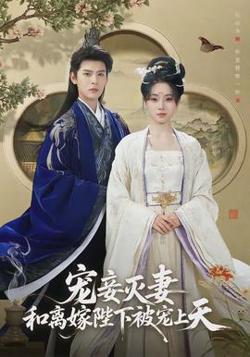宠妾灭妻，和离嫁陛下被宠上天高清播放
