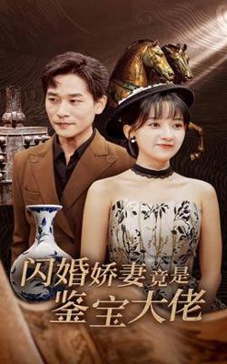 闪婚娇妻竟是鉴宝大佬高清播放