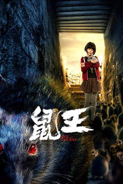 鼠王‎