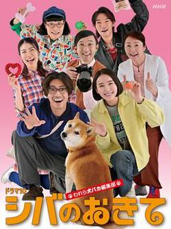 柴犬的规矩～我们这群狗痴编辑部～高清播放