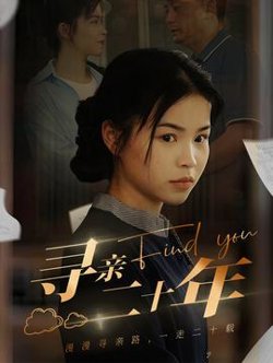 寻亲二十年在线观看