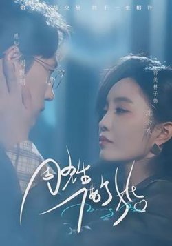 周先生，借个婚在线观看