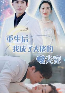 重生后我成大佬心尖宠在线观看