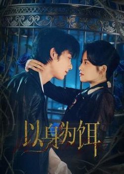 以身为饵高清播放