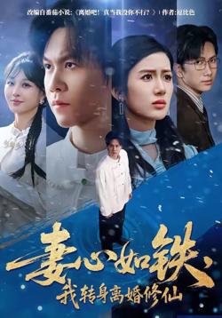 妻心如铁,我转身离婚修仙