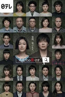 轮到你了在线观看
