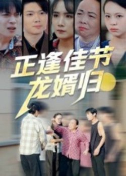 正逢佳节龙婿归高清播放