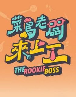 菜鸟老板来上工高清播放