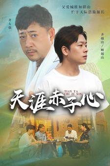 天涯赤子心短剧版在线观看