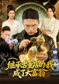 继承古董店的我成了大富翁高清播放