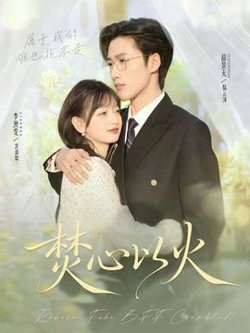 焚心以火高清播放