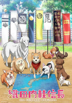 织田肉桂信长 織田在线观看