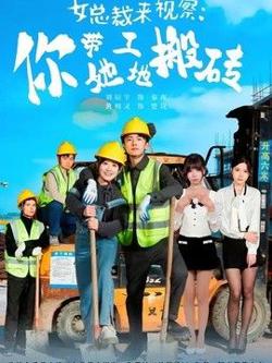 女总裁来视察:你带她工地搬砖