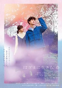 夹缝中活着 小春高清播放