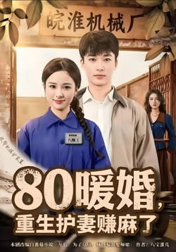 80暖婚，重生护妻赚麻了高清播放