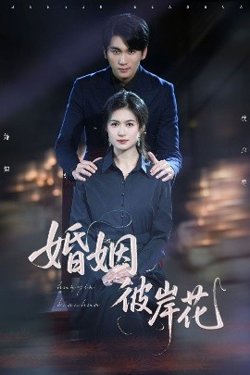 婚姻彼岸花高清播放