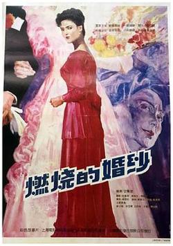 燃烧的婚纱高清播放