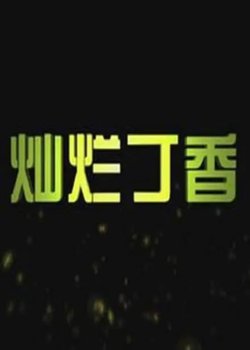 灿烂丁香 2011高清播放