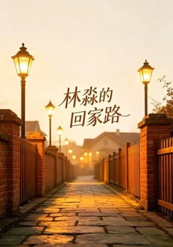 林淼的回家路在线观看