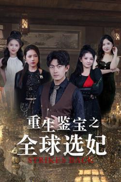重生鉴宝之全球选妃（鉴宝之逆转人生）高清播放