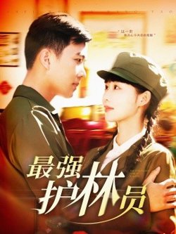 最强护林员高清播放