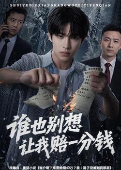 谁也别想让我赔一分钱在线观看