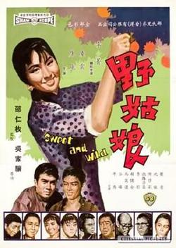 野姑娘高清播放
