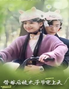 替嫁后被太子爷宠上天高清播放