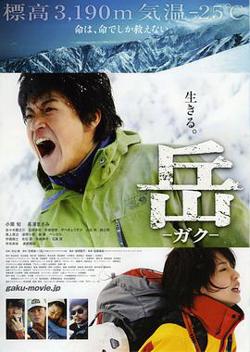 岳：冰峰救援在线观看