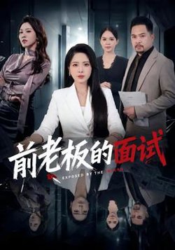 前老板的面试高清播放
