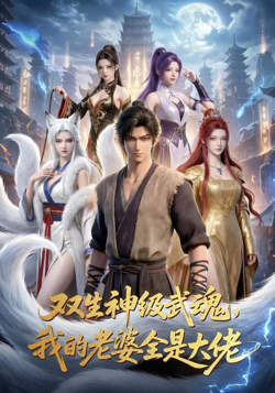 双生神级武魂,我的老婆全是大佬高清播放