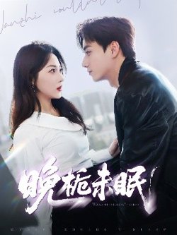 晚栀未眠高清播放