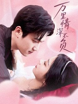 万里情深不负高清播放