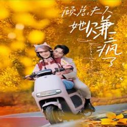 顾总夫人她赚疯了高清播放