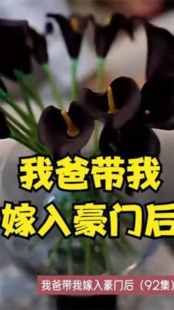 我爸带我嫁入豪门后在线观看