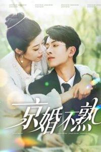 京婚不熟在线观看