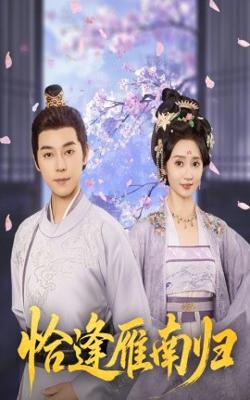 恰逢雁南归高清播放