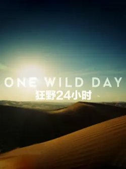 野性24小时第一季高清播放