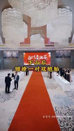下山后，错撩一对双胞胎在线观看