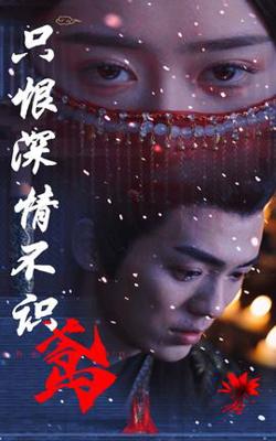 只恨深情不识鸢在线观看
