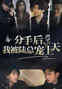 分手后,我被陆总宠上天