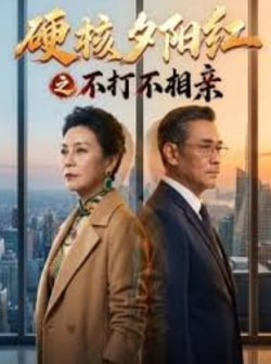 硬核夕阳红之不打不相亲